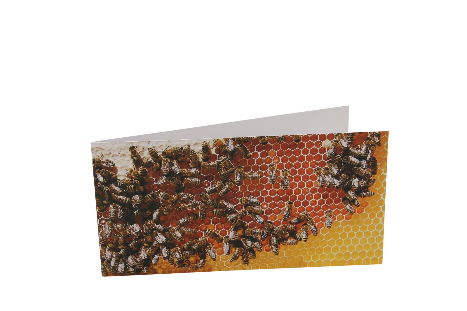 Klappkarte Bienenmotiv