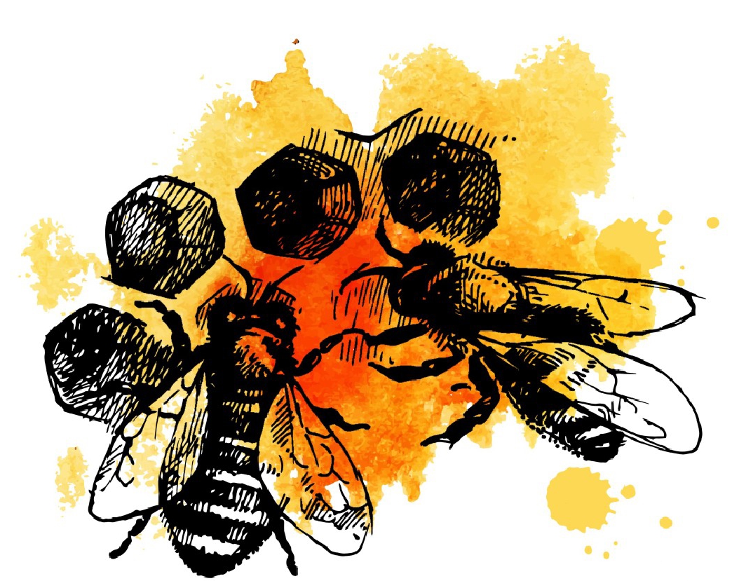 Bienen Altmann Bienen Altmann