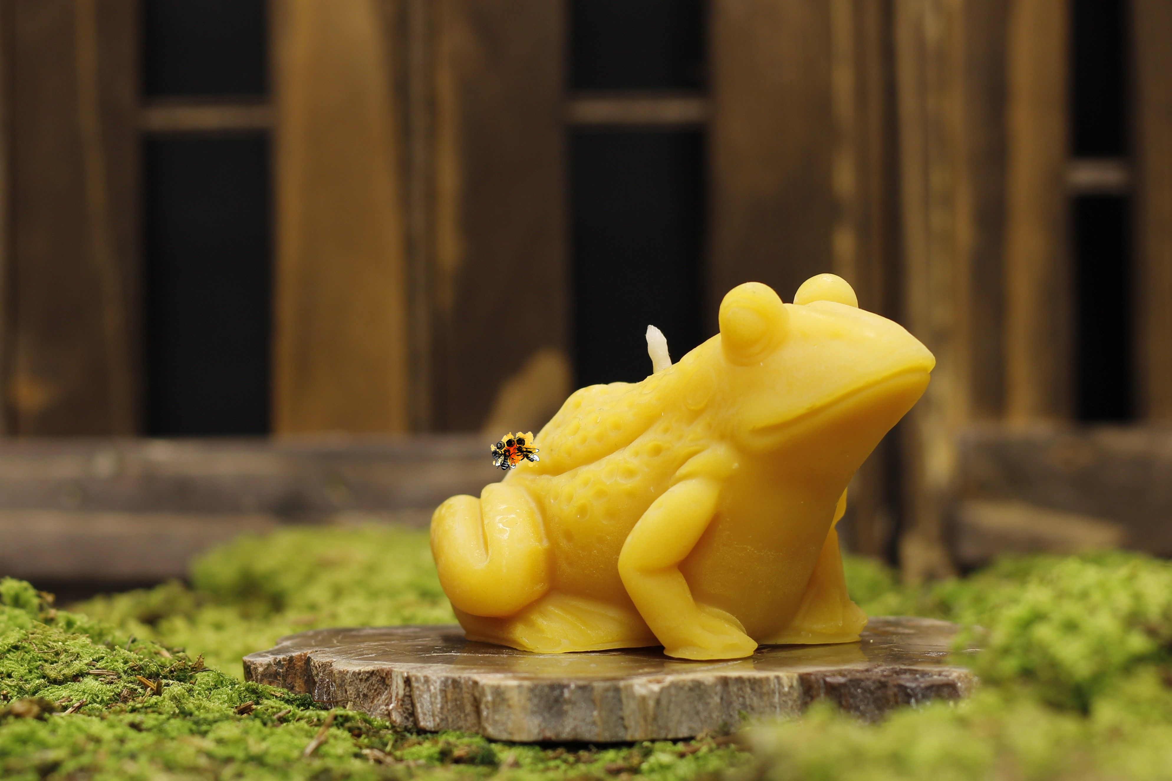 Frosch "Eduard" Bienenwachskerze