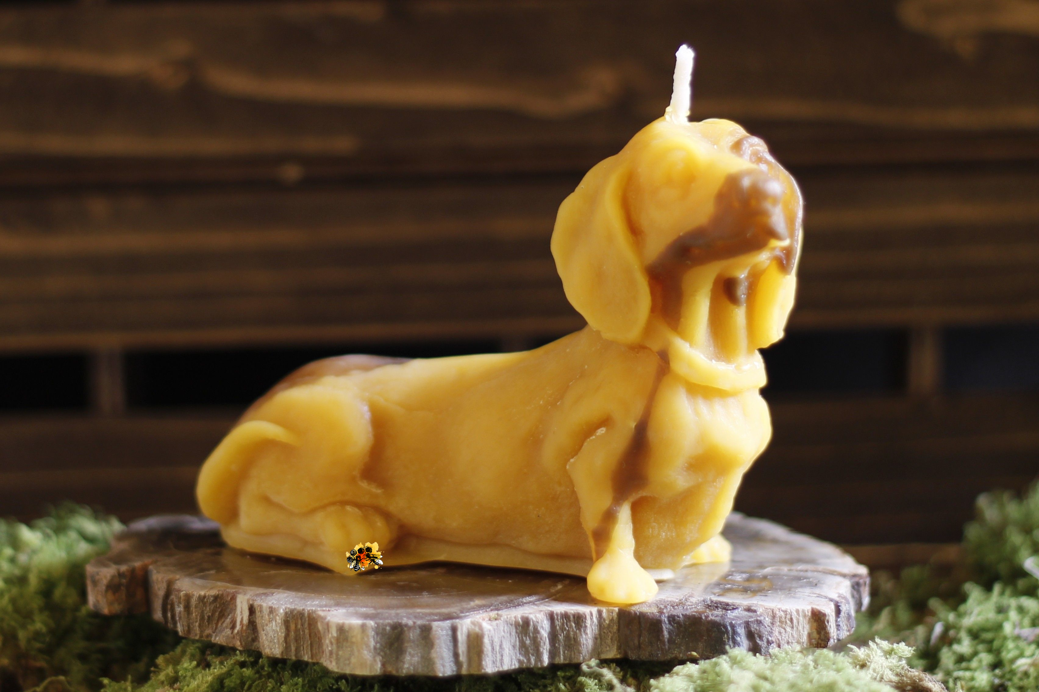 Hund "Dackel Charly gefleckt" Bienenwachskerze