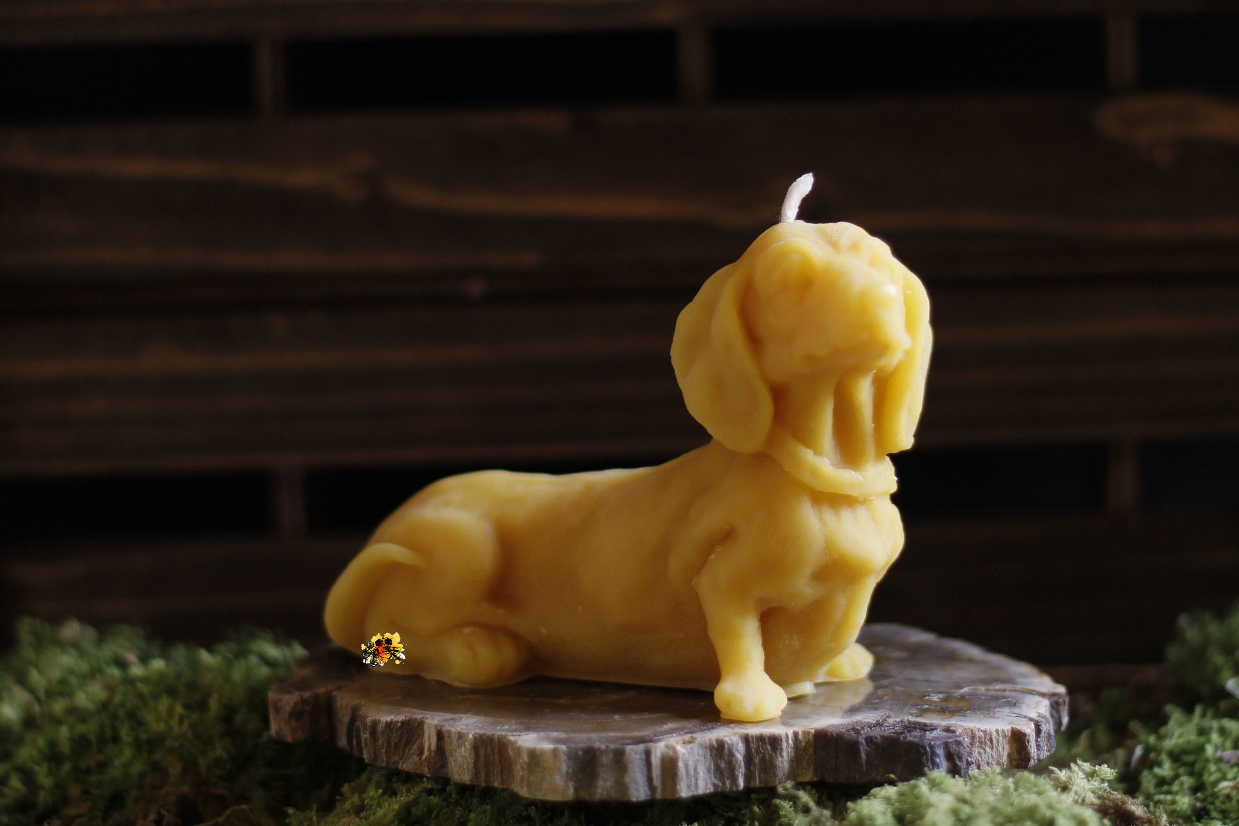 Hund "Dackel Charly" Bienenwachskerze